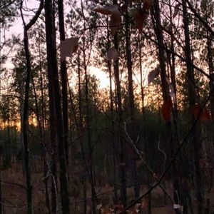 Meet your Posher, Harrison